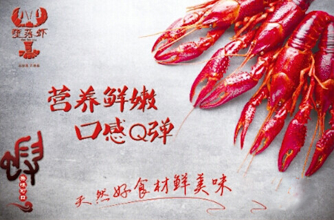 堕落虾加盟费